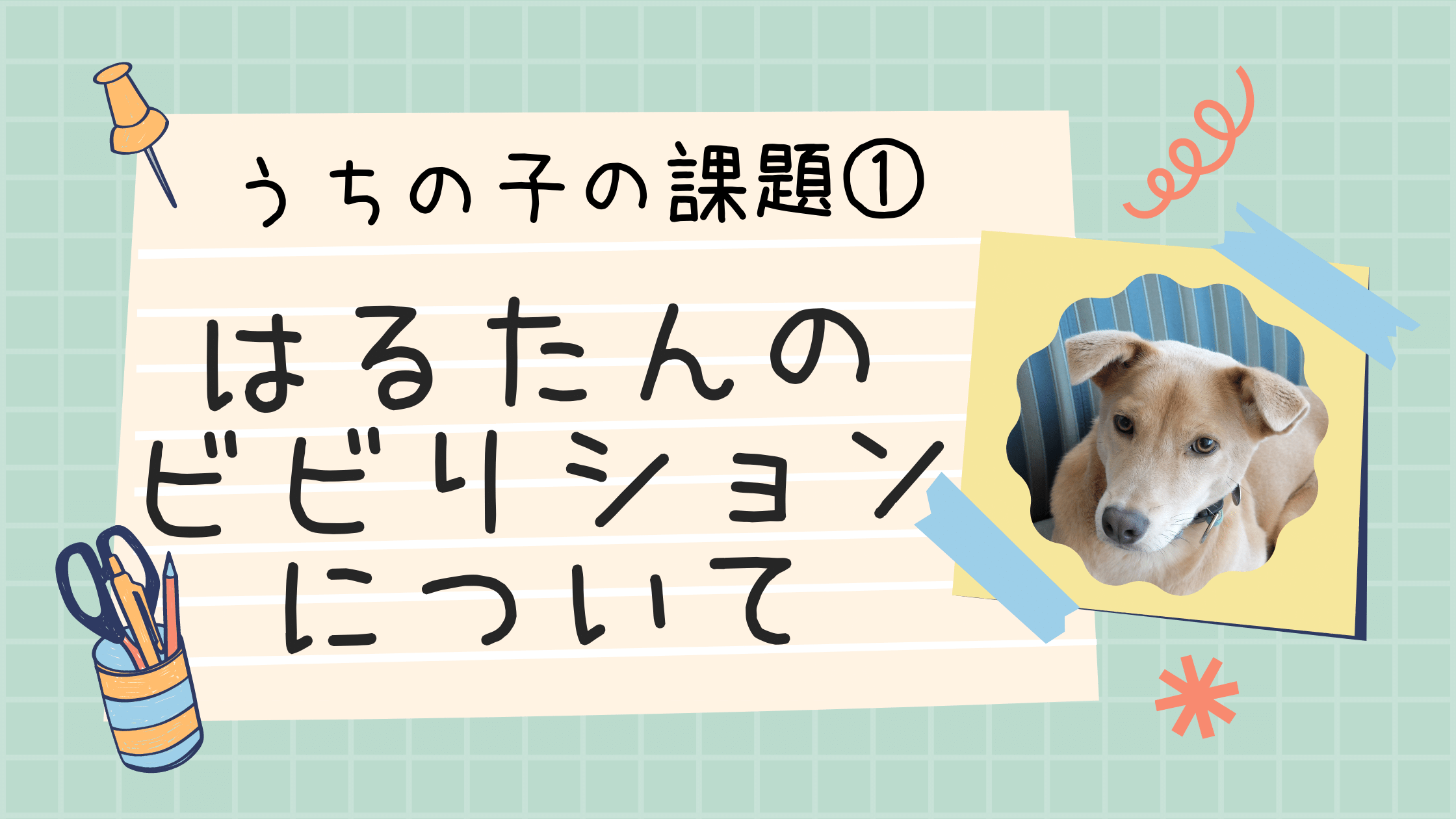 はるたんのビビりション 出ちゃうもんはしょうがない はるたん観察日記