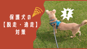 犬を迎える準備 コンセントカバー ケーブルカバーの取り付け はるたん観察日記