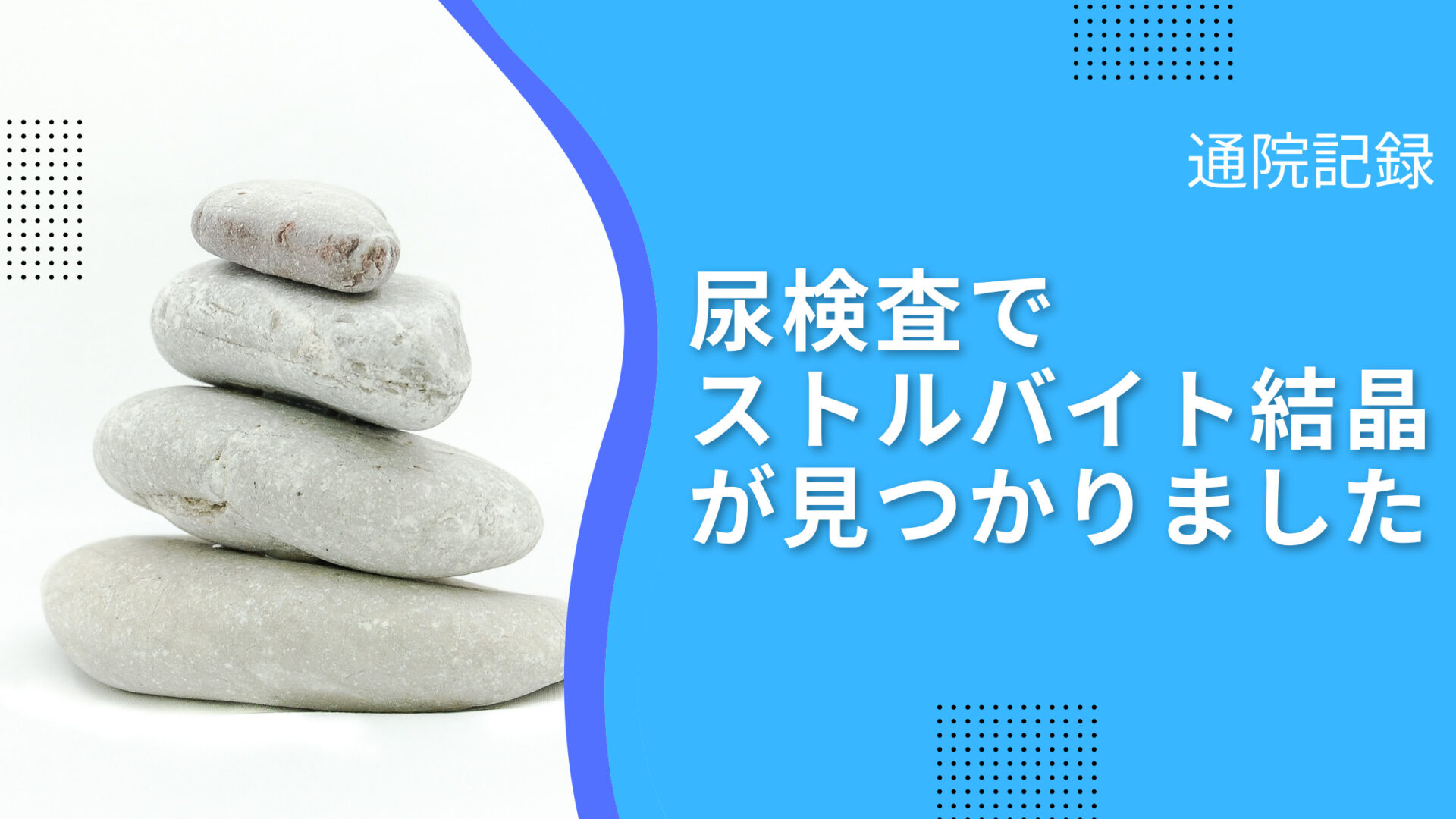 通院記録 尿検査でストルバイト結晶が発覚 その後の経過について はるたん観察日記