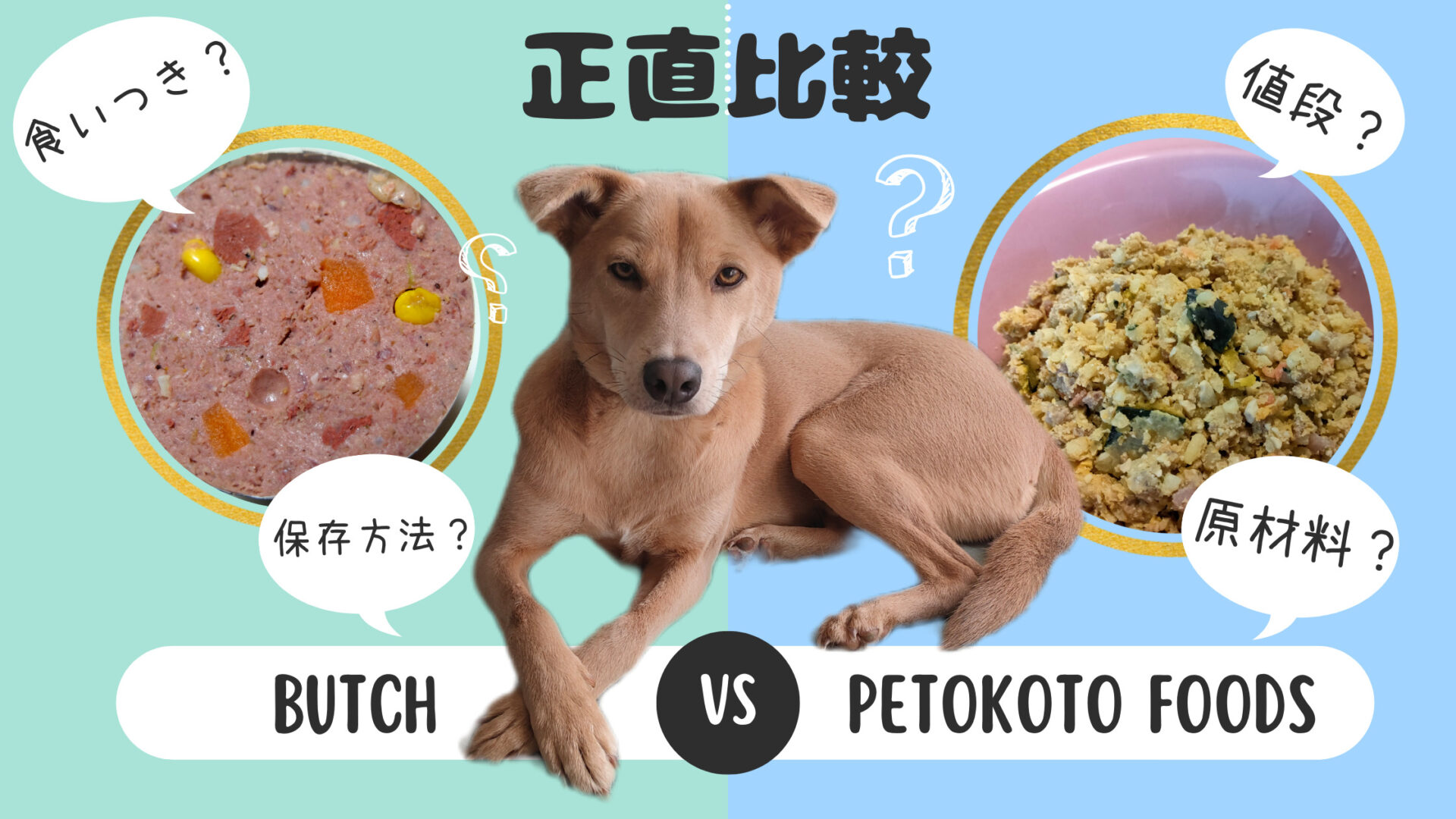 22年最新 正直比較 ブッチ Petokoto Foods ペトコトフーズ はるたん観察日記